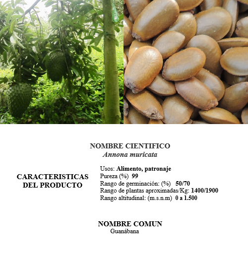 guanabana
