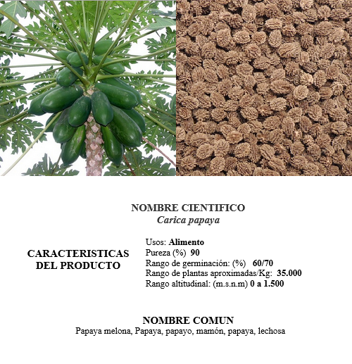 papaya melona amarilla