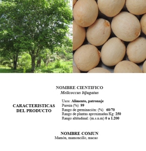 mamoncillo