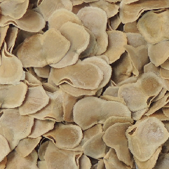 ocobo