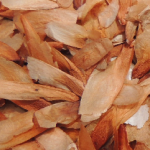 cedro_rosado