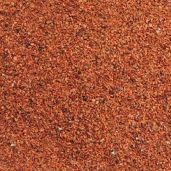 eucaliptus_saligna