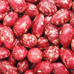 frijol_cargamanto_rojo