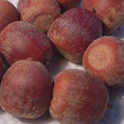 roble