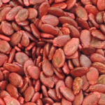 sandia_crimson_sweet