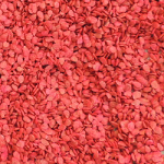 tomate_chonto_santa_cruz