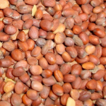 alcachofa