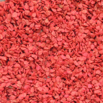 tomate_santa_clara
