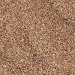zanahoria_red_core_chantenay